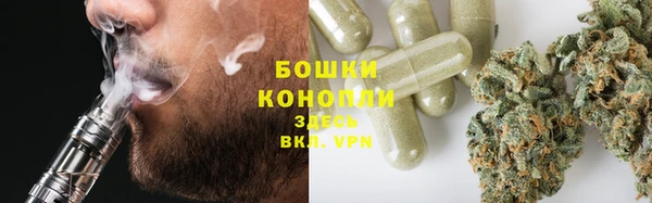 гидра Белоозёрский