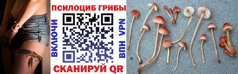 Галлюциногенные грибы MAGIC MUSHROOMS Нерюнгри